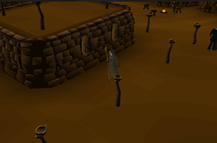 Zybez RuneScape Help's Thumbnail Screenshot of the Rogues Den. Click for full size image.