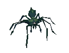 Picture of Giant crypt spider