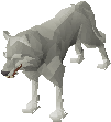 Picture of Wolf
