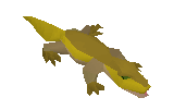 Picture of Lizard