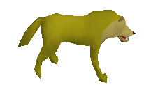 Picture of Jungle wolf