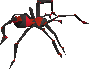 Picture of Poison spider