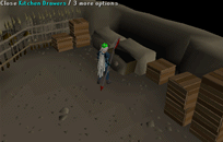 Zybez RuneScape Help's Screenshot of Searching the Kitchen Drawer