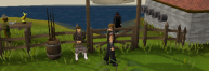 Zybez RuneScape Help's Image of the Fishing Contest