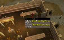 Zybez RuneScape Help's Screenshot of Brundt the Chieftain