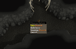 Zybez RuneScape Help's Screenshot of Finding a Brooch