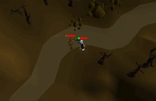 Zybez RuneScape Help's Screenshot of Attacking the Mourner