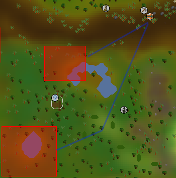Zybez RuneScape Help's Image of the Tropical Wagtail Hunting Area