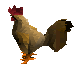 Zybez RuneScape Help's Screenshot of an Evil Chicken