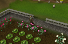 Zybez RuneScape Help's Screenshot of Prayer Guild Flowers
