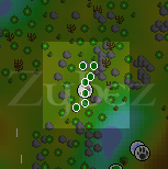 Zybez RuneScape Help's Screenshot of the 'Pass Sticks' Mine