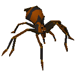 Picture of Fever spider