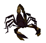 Picture of Poison Scorpion