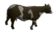 Picture of Cow
