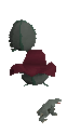 Picture of Dagannoth spawn