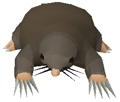 Picture of Giant Mole