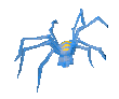 Picture of Ice spider