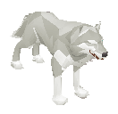 Picture of White wolf