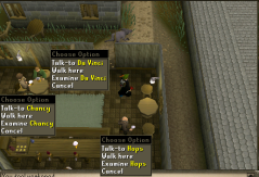 Zybez RuneScape Help's Screenshot of Inn