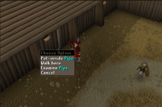 Zybez RuneScape Help's Screenshot of a Pipe
