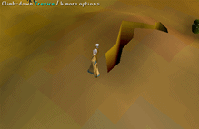 Zybez RuneScape Help's Image of the Cave