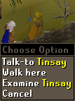 Zybez RuneScape Help's Screenshot of Talking to Tinsay