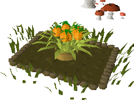 Zybez RuneScape Help's Screenshot of a Fully Grown Pineapple Plant